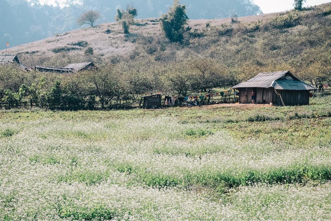 Happy House Moc Chau Hotell Exteriör bild